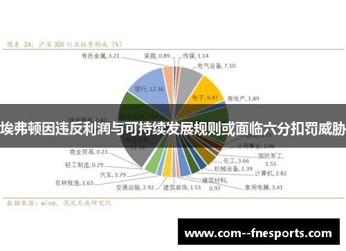 埃弗顿因违反利润与可持续发展规则或面临六分扣罚威胁