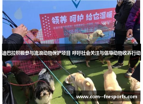 迪巴拉积极参与流浪动物保护项目 呼吁社会关注与倡导动物收养行动