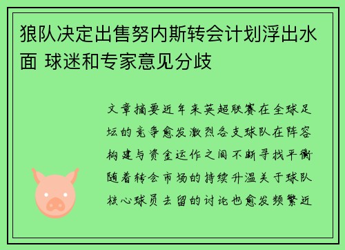 狼队决定出售努内斯转会计划浮出水面 球迷和专家意见分歧